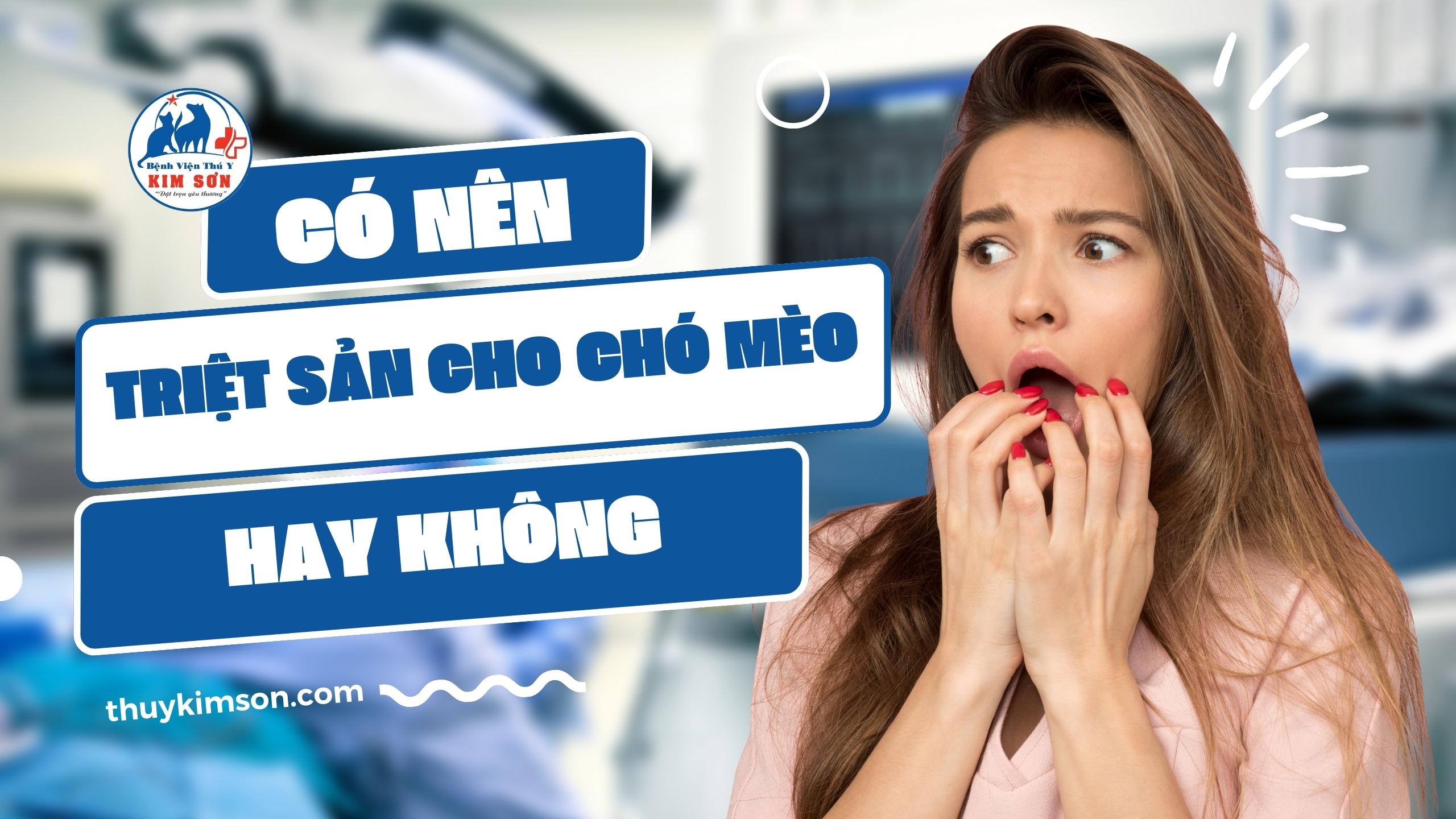 Có nên triệt sản chó mèo hay không