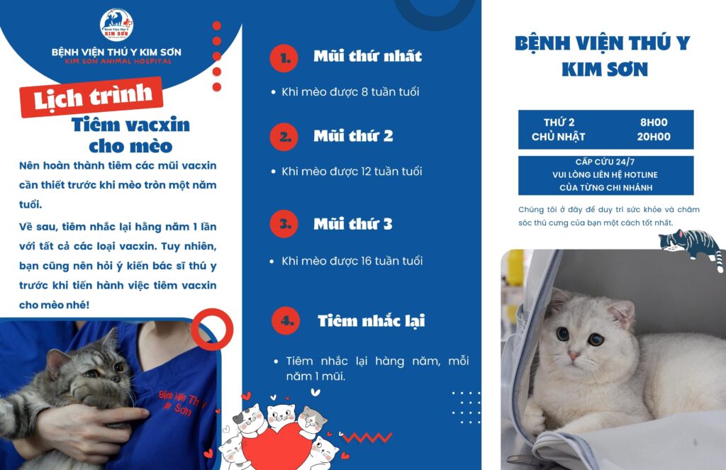 Lịch trình tiêm vaccine cho mèo