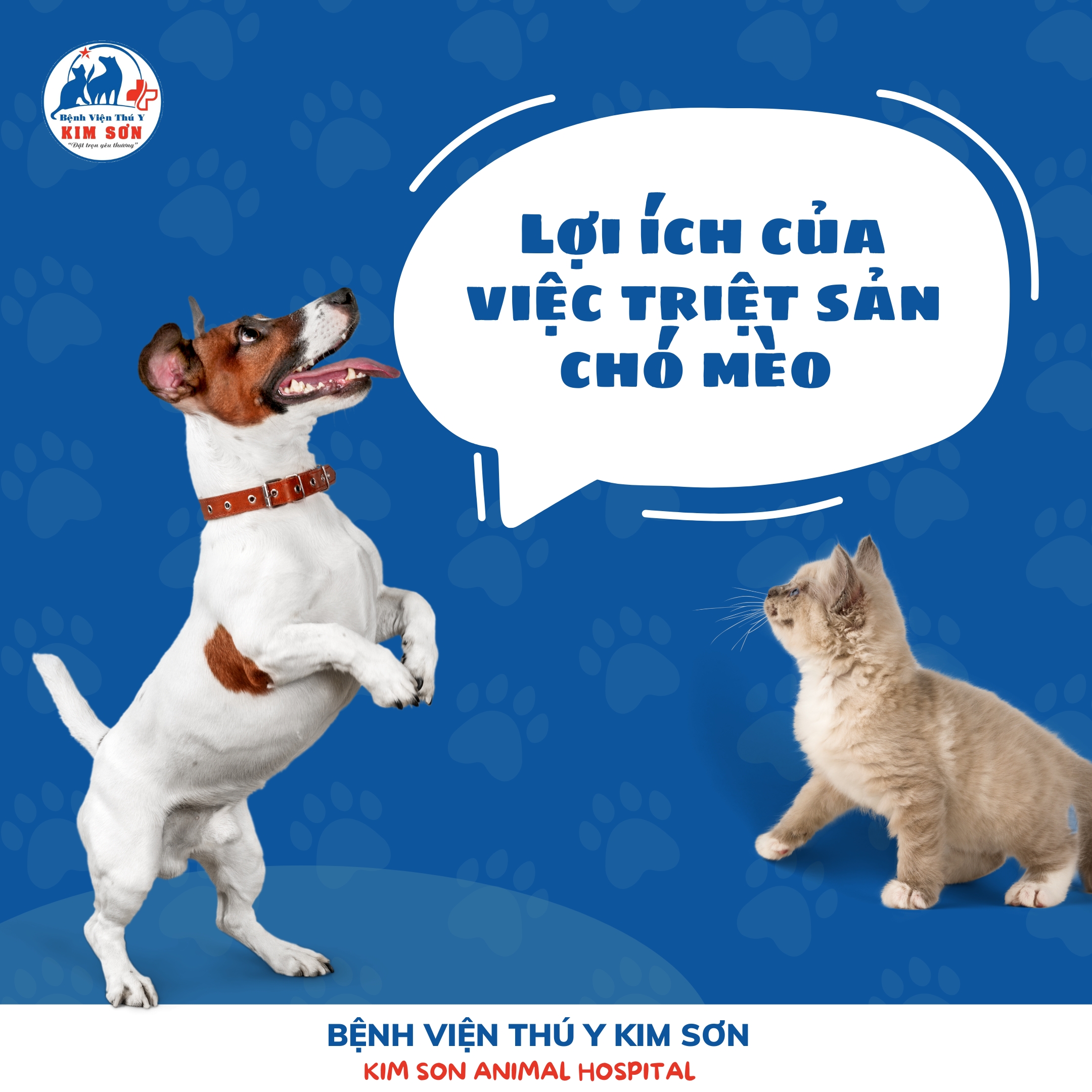 Lợi ích của việc triệt sản chó mèo