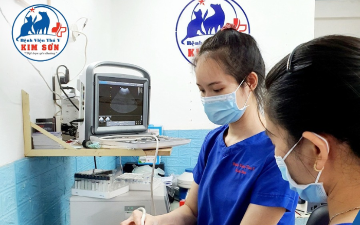 Bệnh viện thú y Kim Sơn
